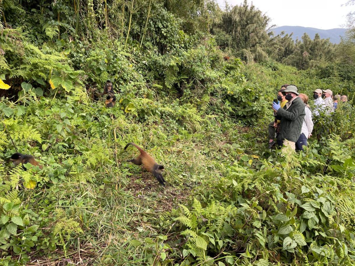 Virunga Homes Ruhengeri ภายนอก รูปภาพ