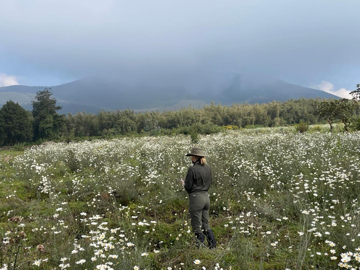 Virunga Homes Ruhengeri ภายนอก รูปภาพ